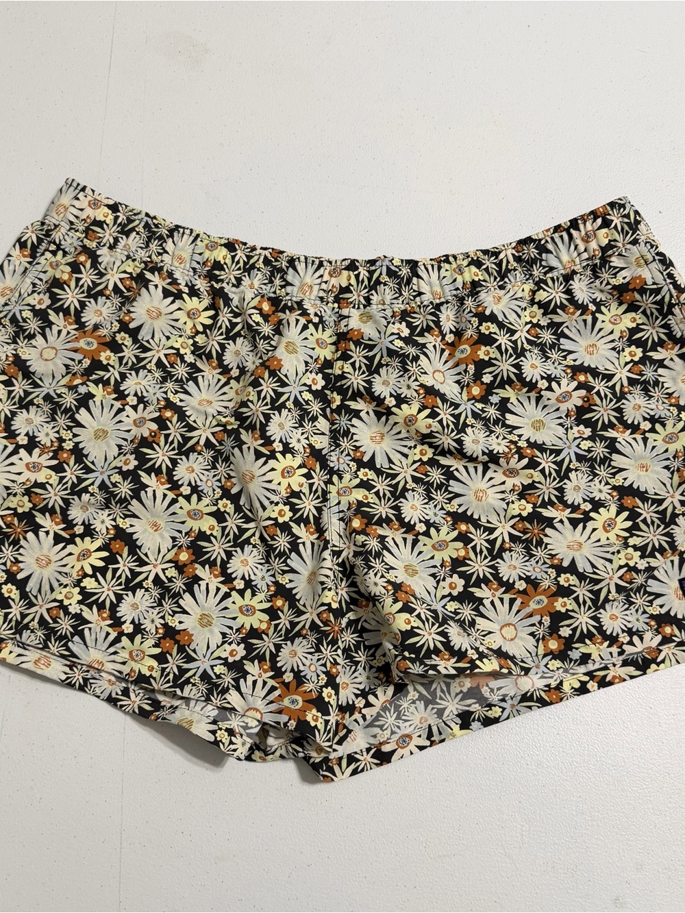 Patagonia Shorts Size XL